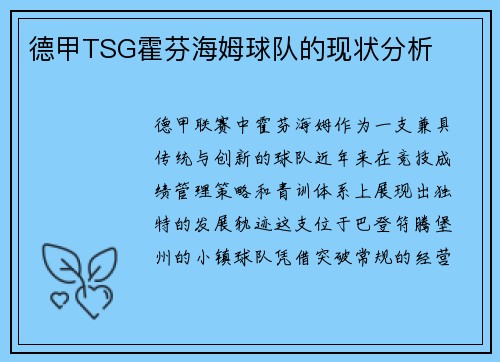 德甲TSG霍芬海姆球队的现状分析