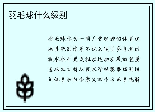 羽毛球什么级别