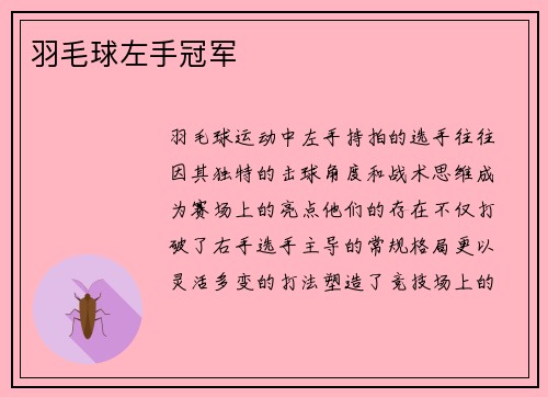 羽毛球左手冠军